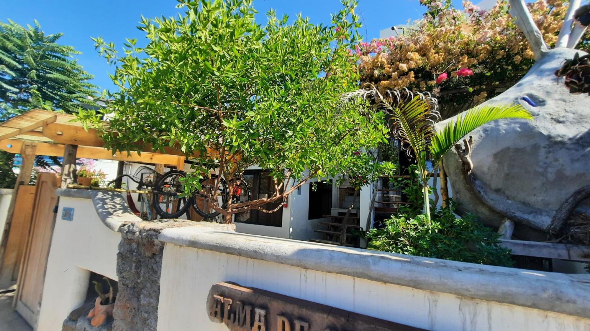 Alma De Cedrela Apartment Puerto Ayora  Exterior photo