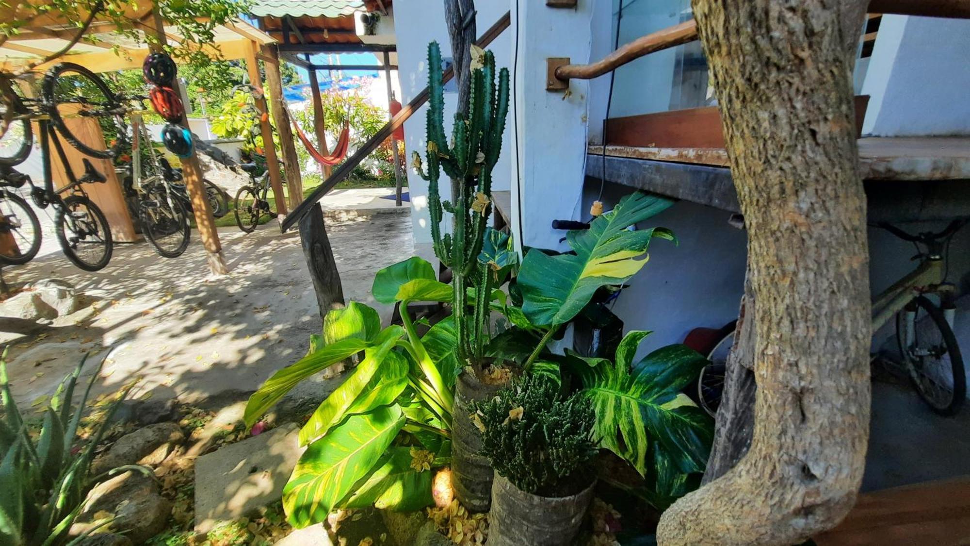 Alma De Cedrela Apartment Puerto Ayora  Exterior photo